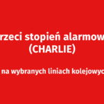 Kiedy kamera zaczyna myśleć. Sztuczna inteligencja w nowoczesnych systemach dozoru wizyjnego 